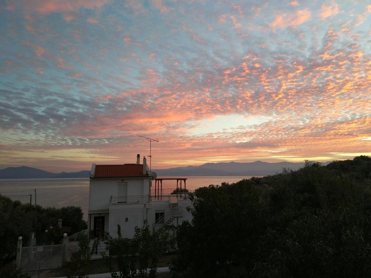 Seaside Boutique Villa Volos Ngoại thất bức ảnh