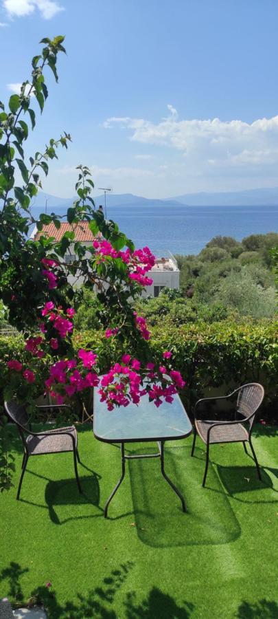 Seaside Boutique Villa Volos Ngoại thất bức ảnh